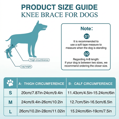 HindGuard™ ACL Knee Brace for Dogs