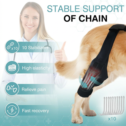HindGuard™ ACL Knee Brace for Dogs