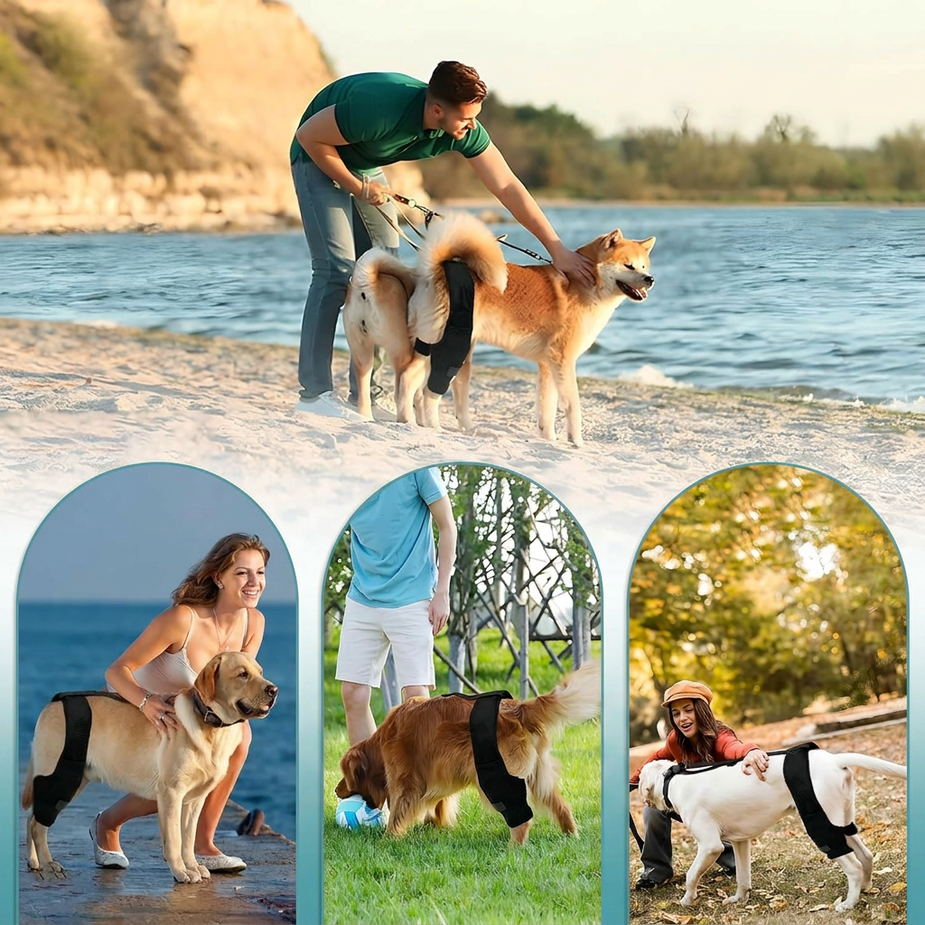 HindGuard™ ACL Knee Brace for Dogs