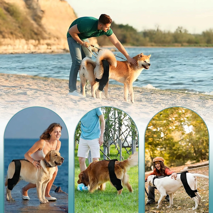 HindGuard™ ACL Knee Brace for Dogs